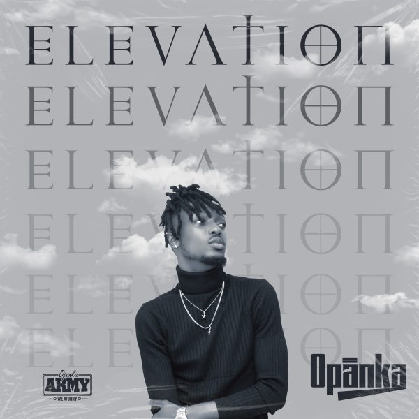 ELEVATION EP - Image 4